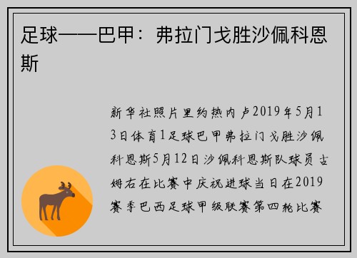 足球——巴甲：弗拉门戈胜沙佩科恩斯